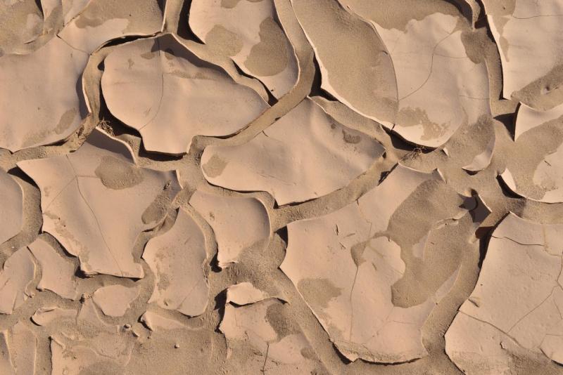 marokko_2026_mhamid_029