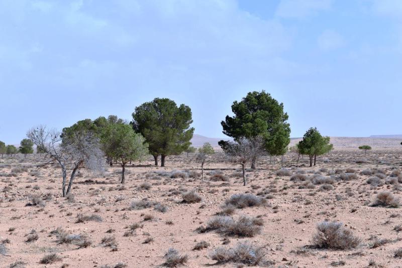 marokko_2026_oujda_005