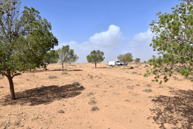 marokko_2026_oujda_006