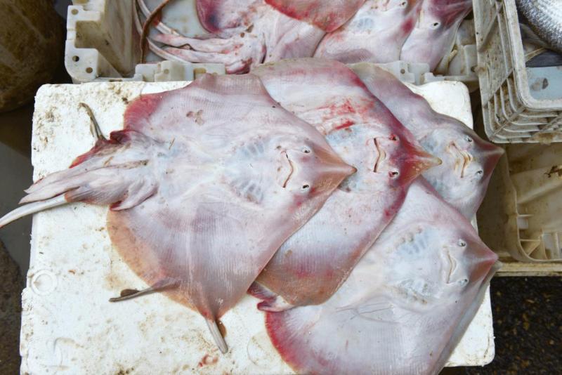 marokko_2026_oujda_011