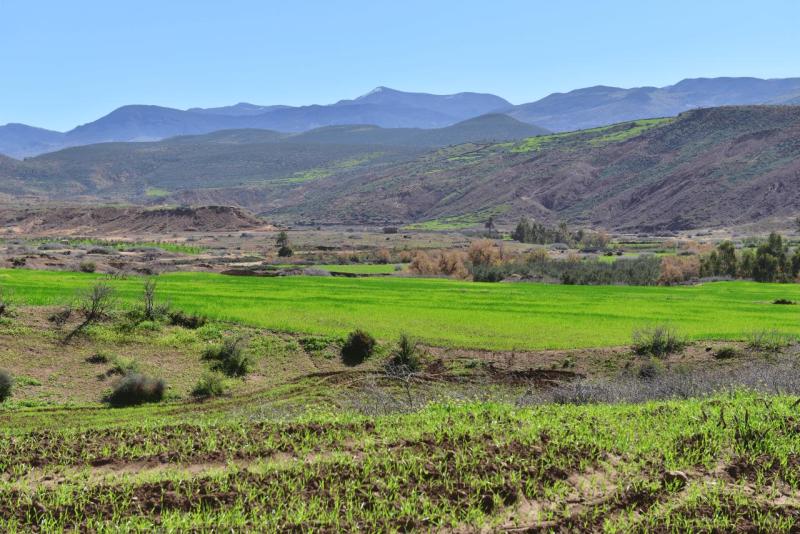 marokko_2026_ouzoud_011