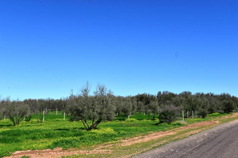 marokko_2026_ouzoud_014