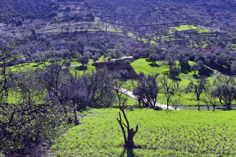 marokko_2026_ouzoud_017