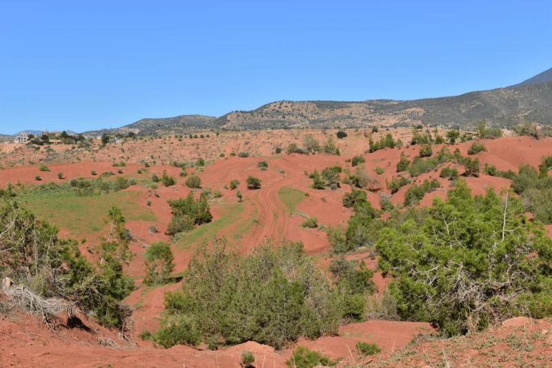 marokko_2026_ouzoud_018