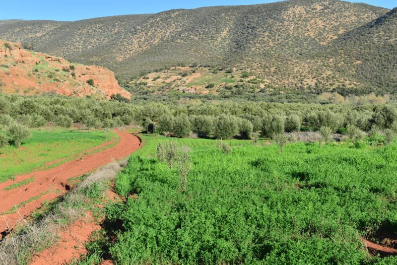 marokko_2026_ouzoud_019