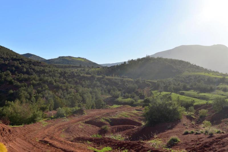 marokko_2026_ouzoud_021