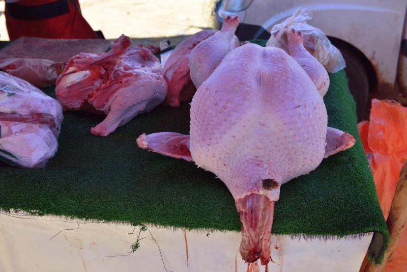 marokko_2026_ouzoud_025