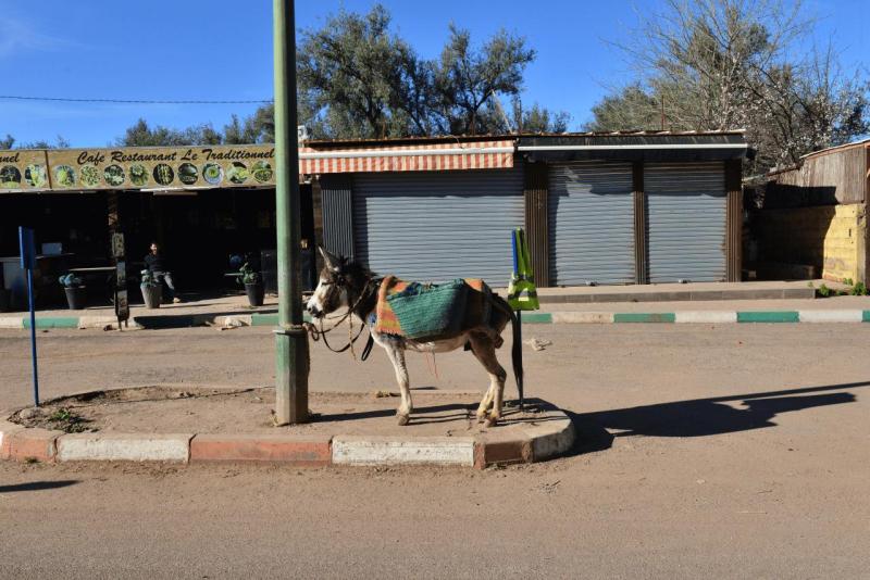 marokko_2026_ouzoud_030