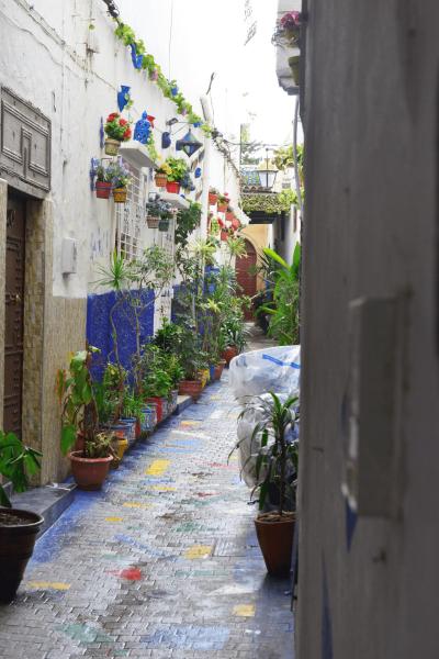 marokko_2026_rabat_mohamedia_x011