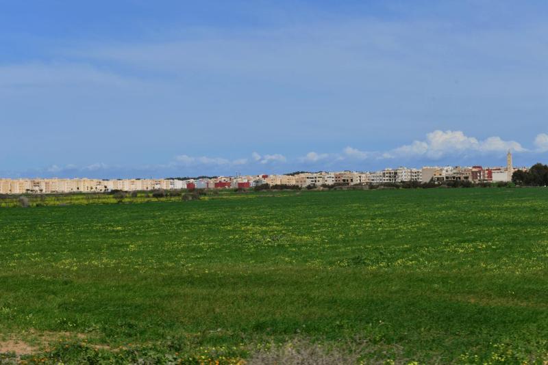 marokko_2026_nador_riad_ocean_view_003