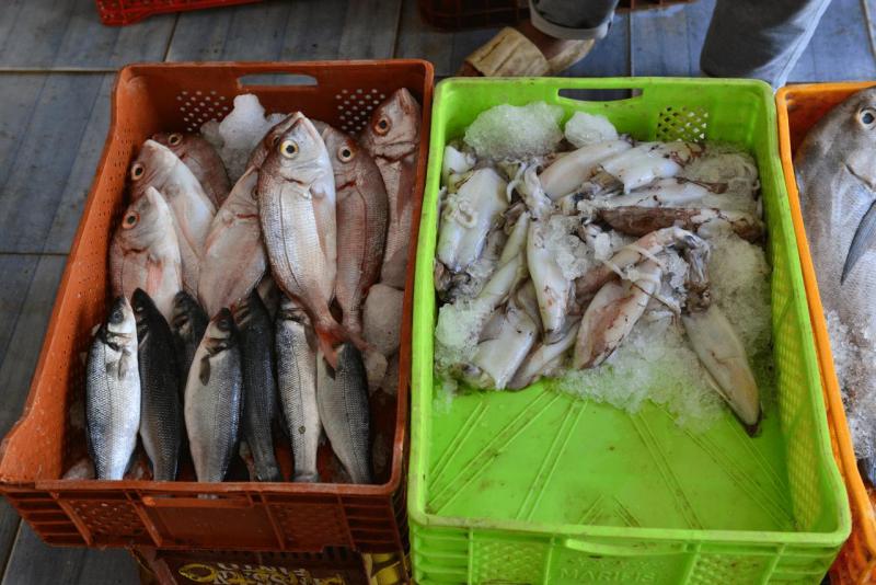 marokko_2026_nador_riad_ocean_view_007