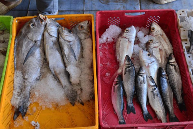 marokko_2026_nador_riad_ocean_view_008