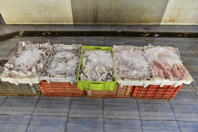 marokko_2026_nador_riad_ocean_view_010