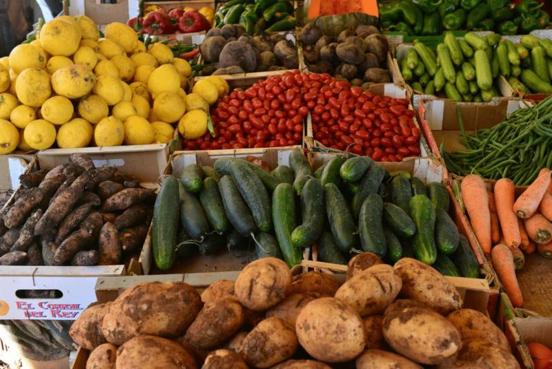 marokko_2026_nador_riad_ocean_view_013