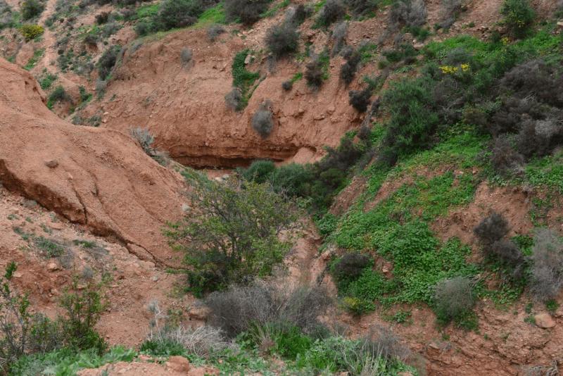 marokko_2026_nador_riad_ocean_view_014