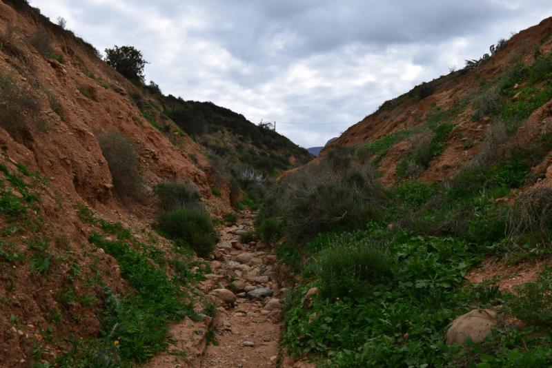 marokko_2026_nador_riad_ocean_view_016