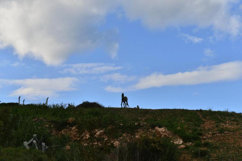 marokko_2026_nador_riad_ocean_view_026