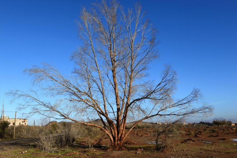 marokko_2026_reisemobil_schatz_002