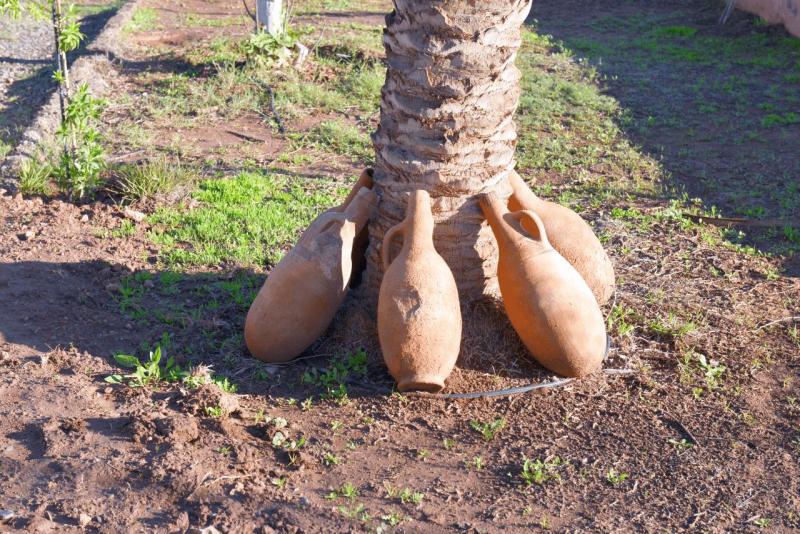 marokko_2026_reisemobil_schatz_018