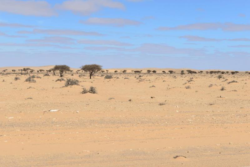 marokko_2026_smara_009
