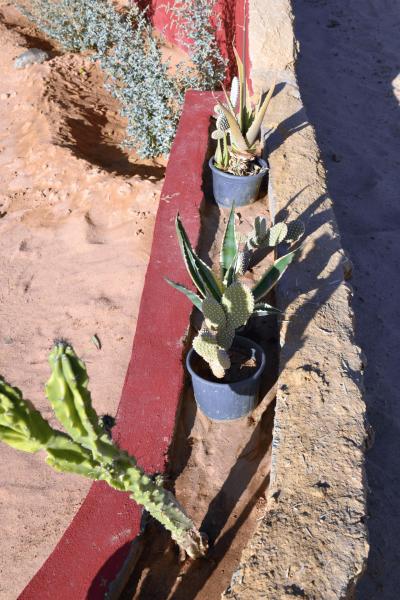 marokko_2026_smara_028