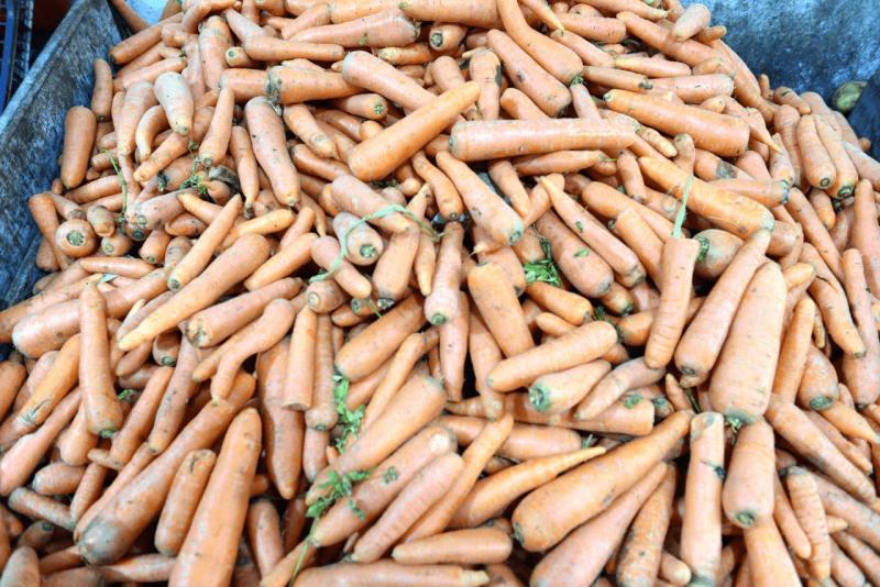 marokko_2026_el_quatia_006