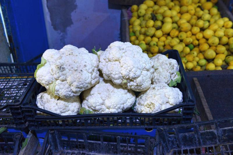 marokko_2026_el_quatia_007