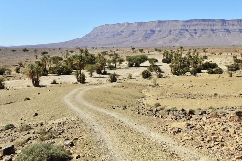 marokko_2026_tisguine_tamegroute_ouarzazate_008