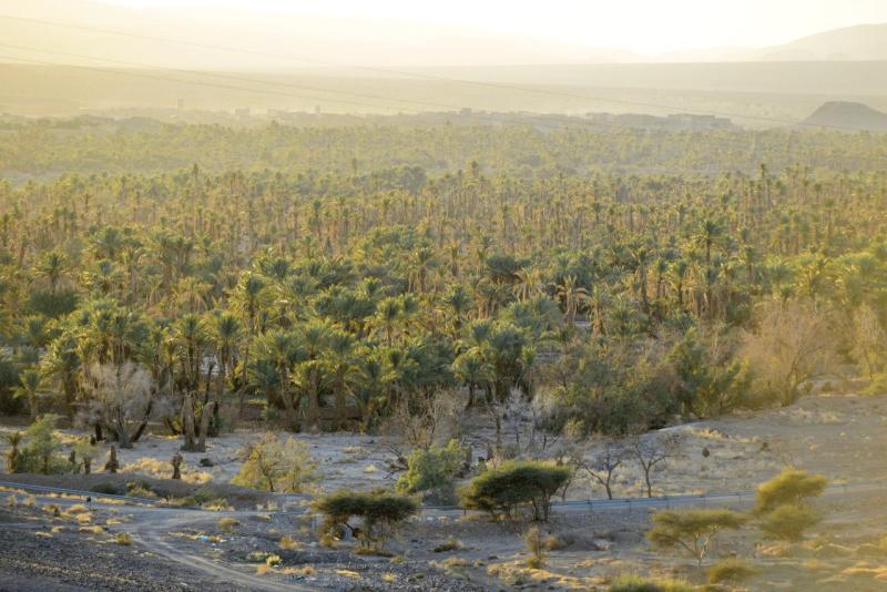 marokko_2026_tisguine_tamegroute_ouarzazate_012