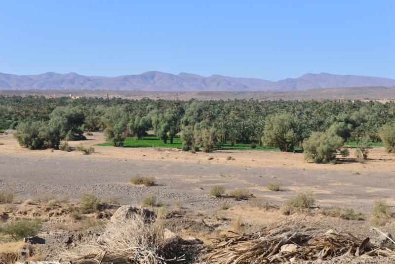 marokko_2026_tisguine_tamegroute_ouarzazate_014