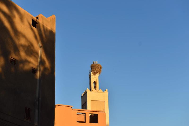marokko_2026_tisguine_tamegroute_ouarzazate_025