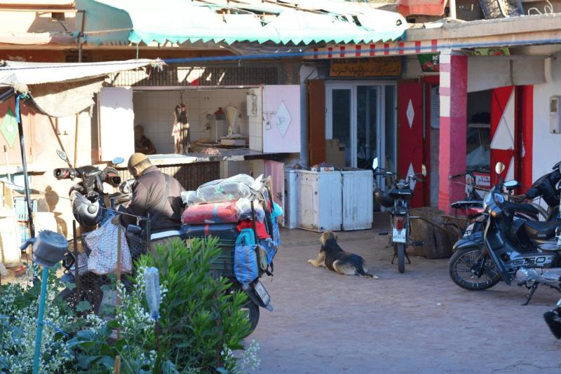 marokko_2026_tisguine_tamegroute_ouarzazate_029