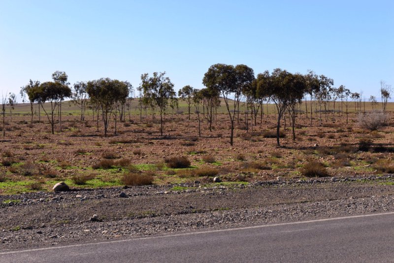 marokko_2026_sidi_quassay_003