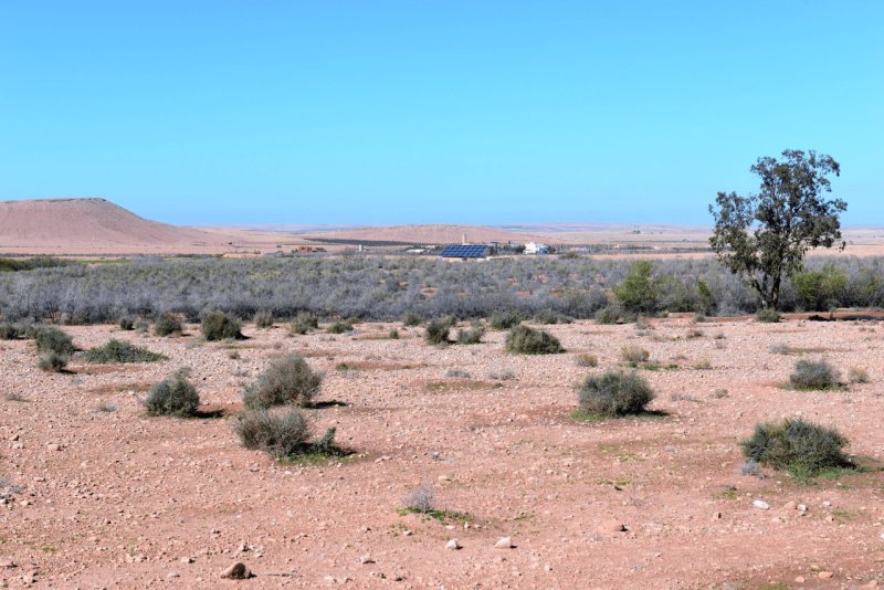 marokko_2026_sidi_quassay_006