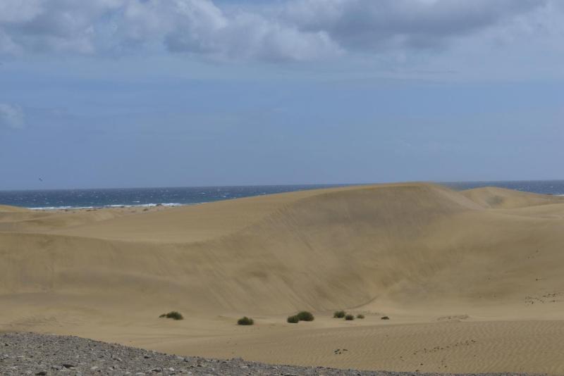 maspalomas_005