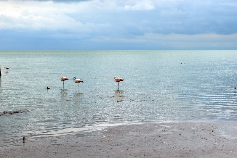miramar_024