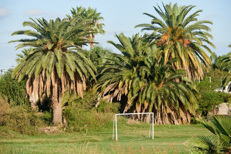 miramar_059