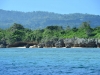moa_0011
