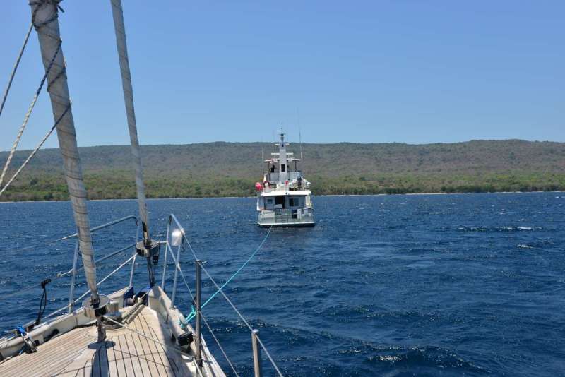 mojo_island_0001