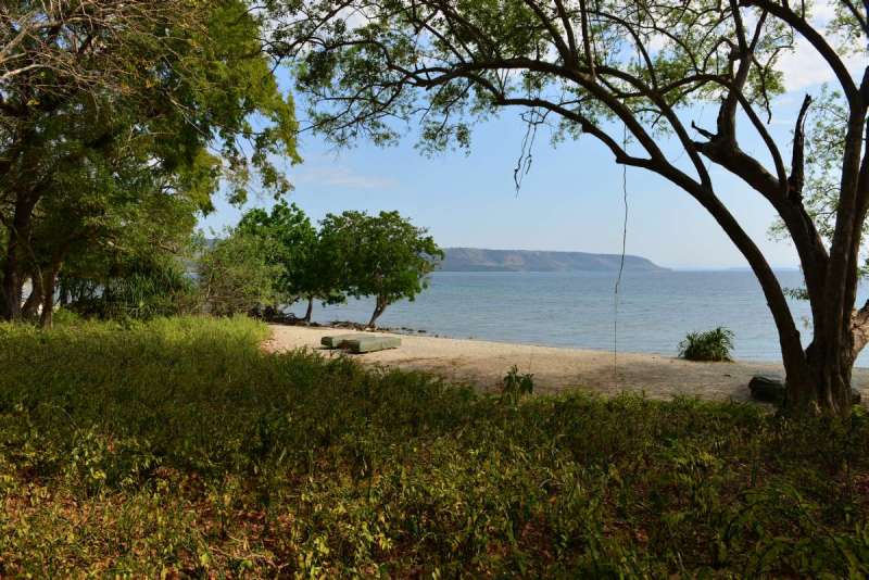 mojo_island_0026