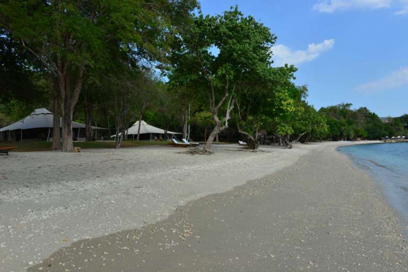mojo_island_0031