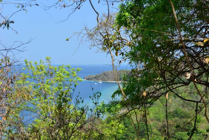 mojo_island_0036