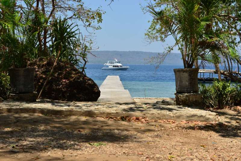 mojo_island_0046