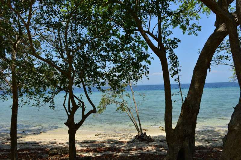 mojo_island_0051