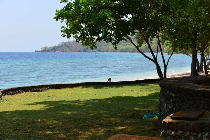 mojo_island_0071
