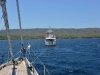 mojo_island_0001