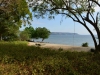 mojo_island_0026