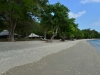 mojo_island_0031