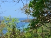 mojo_island_0036