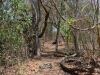 mojo_island_0041